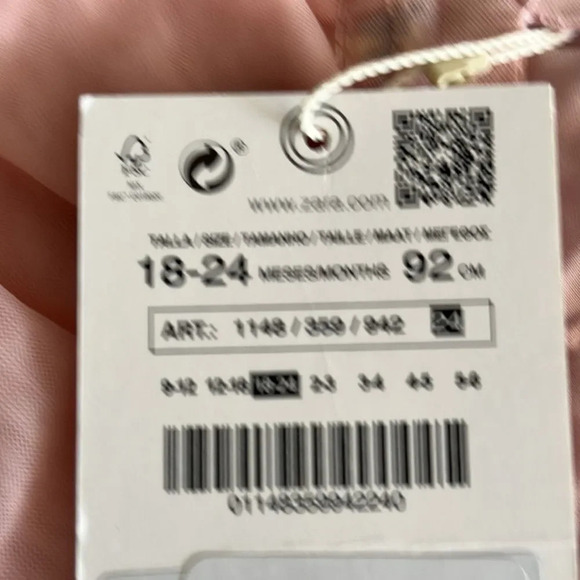 ZARA Kids | Beige-Pink | FLORAL EMBROIDERED TULLE DRESS - Picture 5 of 6